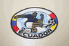 ***SOLD OUT ***ECUADOR SOCCER FOOTBALL PLAYER IRON ON PATCH CREST BADGE ..NEW