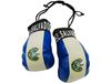 EL SALVADOR COUNTRY FLAG MINI BOXING GLOVES ..HIGH QUALITY .. NEW