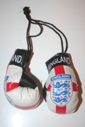 ENGLAND FIFA WORLD CUP LOGO PAIR OF MINIATURE BOXING GLOVES . NEW