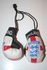 ENGLAND FIFA WORLD CUP LOGO PAIR OF MINIATURE BOXING GLOVES . NEW ENGLAND FIFA WORLD CUP LOGO PAIR OF MINIATURE BOXING GLOVES . NEW