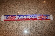 FRANCE ALLEZ FIFA WORLD CUP SOCCER FOOTBALL SCARF SCARVES .. NEW