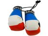 FRANCE COUNTRY FLAG MINI BOXING GLOVES ..HIGH QUALITY .. NEW