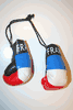 FRANCE COUNTRY FLAG MINIATURE BOXING GLOVES TO HANG OVER YOUR CAR MIRROR .. NEW 