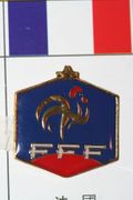 FRANCE FIFA WORLD CUP SOCCER FOOTBALL LOGO PIN .. NEW