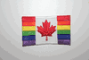 GAY & LEBIAN PRIDE CANADA RAINBOW FLAG SMALL IRON ON PATCH CREST BADGE .. NEW
