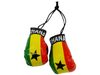 GHANA COUNTRY FLAG MINI BOXING GLOVES ..HIGH QUALITY .. NEW