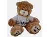 GHANA FIFA WORLD CUP SOCCER FOOTBALL SOFT PLUSH JERSEY TEDDY BEAR TOY .... NEW