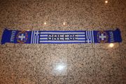 GREECE COUNTRY FLAG FIFA WORLD CUP FOOTBALL SOCCER SCARF ... NEW
