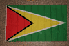 GUYANA 3' X 5' NATIONAL COUNTRY FLAG LARGE BANNER TAPESTRY .... BUY NEW