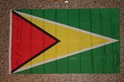 GUYANA 3' X 5' NATIONAL COUNTRY FLAG LARGE BANNER TAPESTRY .... BUY NEW