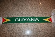 GUYANA COUNTRY FLAG GREEN EXTRA THICK SCARF ... SCARVES ... NEW