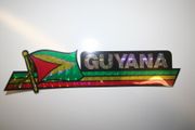 GUYANA COUNTRY FLAG LONG METALIC CAR AUTOMOBILE BUMPER STICKER DECAL EMBLEM .. NEW