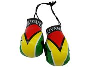 GUYANA COUNTRY FLAG MINI BOXING GLOVES ..HIGH QUALITY .. NEW
