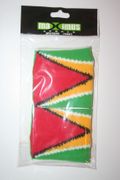 GUYANA SET OF 2 COUNTRY FLAG WRISTBANDS SWEATBANDS .. NEW