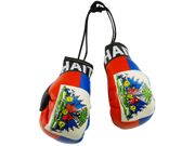 HAITI COUNTRY FLAG MINI BOXING GLOVES ..HIGH QUALITY .. NEW