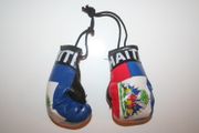 HAITI COUNTRY FLAG PAIR OF MINIATURE BOXING GLOVES .. NEW
