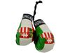 HUNGARY COUNTRY FLAG MINI BOXING GLOVES ..HIGH QUALITY .. NEW