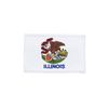 ILLINOIS USA STATE FLAG IRON ON PATCH CREST BADGE 2 1/8 X 3 1/4 INCHES ... NEW