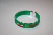 IRAN  PERSIAN GREEN  COUNTRY FLAG FLEXIBLE  BRACELET WRISTBAND W/ LION .. NEW