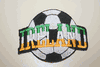IRELAND SOCCER BALL FOOTBALL IRON ON PATCH CREST BADGE .. NEW