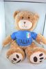ITALIA 19" TALL FIFA WORLD CUP SOCCER FOOTBALL JERSEY LARGE TEDDY BEAR PLUSH TOY ... ITALY .. NEW