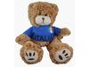 ITALIA FIFA WORLD CUP JERSEY PLUSH TEDDY BEAR  .. ITALY ..NEW