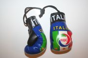 ITALIA FIFA WORLD CUP LOGO PAIR OF MINIATURE BOXING GLOVES .. ITALY ..NEW