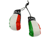 ITALIA ITALY COUNTRY FLAG MINI BOXING GLOVES ..HIGH QUALITY .. NEW
