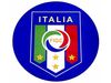 ITALIA ITALY FIGC LOGO CAR MAGNET CIRCLE SHAPE 6 1/4" INCHES IN DIAMETER .. FIFA SOCCER WORLD CUP .. NEW