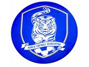 KOREA * KOREA FOOTBALL ASSOCIATION * CAR MAGNET CIRCLE SHAPE 6 1/4" INCHES IN DIAMETER .. FIFA SOCCER WORLD CUP .. NEW