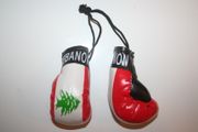 LEBANON COUNTRY FLAG PAIR OF MINIATURE BOXING GLOVES .. NEW