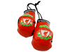 LIVERPOOL ENGLAND PREMIER LEAGUE MINI BOXING GLOVES ..HIGH QUALITY .. NEW