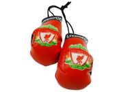 LIVERPOOL ENGLAND PREMIER LEAGUE MINI BOXING GLOVES ..HIGH QUALITY .. NEW