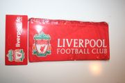 LIVERPOOL FC FOOTBALL CLUB SOCCER PENCIL CASE ..  SCHOOL SUPPLIES .. NEW