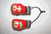 LIVERPOOL PAIR OF MINIATURE BOXING GLOVES ...NEW