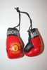 MANCHESTER UNITED SET OF 2 BOXING GLOVES TO HANG OVER YOUR CAR MIRROR .. NEW