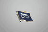 METIS FLAG SMALL METAL NATIVE PIN LAPELBADGE .. INFINITY .. NEW