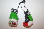 MEXICO COUNTRY FLAG PAIR OF MINIATURE BOXING GLOVES .. NEW