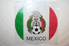 MEXICO FIFA WORLD CUP SOCCER FOOTBALL LOGO ROUND CAR MAGNET .. NEW
