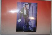 MICHAEL JACKSON THE KING OF POP QUEEN SIZE BLANKET RACHEL THROW BED SPREAD  .. NEW 78: X 94"