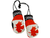 COUNTRY FLAG MINI BOXING GLOVES 