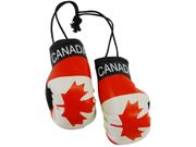 COUNTRY FLAG MINI BOXING GLOVES 