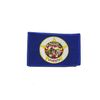 MINNESOTA USA STATE FLAG IRON ON PATCH CREST BADGE 2 1/8 X 3 1/4 INCHES ... NEW
