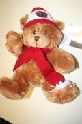MONTREAL CANADIENS NHL HOCKEY PLUSH BEAR STUFFED ANIMAL WITH WINTER CANADIENS HAT TOUQUE ON .. NEW