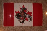NATIVE INDIAN "END OF TRAIL" CANADIAN FLAG 3' X 5' FEET .... NEW IN PACKAGE