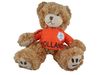 NETHERLANDS HOLLAND FIFA WORLD CUP SOCCER FOOTBALL SOFT PLUSH JERSEY TEDDY BEAR .. NEW
