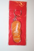 NETHERLANDS ORANGE KNVB SOCCER FOOTBALL LOGO SHOE SANDLE KEYCHAIN .. NEW
