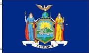 NEW YORK - USA STATE ITEMS