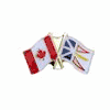 NEWFOUNDLAND / CANADA PROVINCIAL FLAG SMALL METAL FRIENDSHIP LAPEL PIN BADGE .. CANADIAN PROVINCE ..  NEW