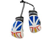NEWFOUNDLAND & LABRADOR COUNTRY FLAG MINI BOXING GLOVES ..HIGH QUALITY .. NEW